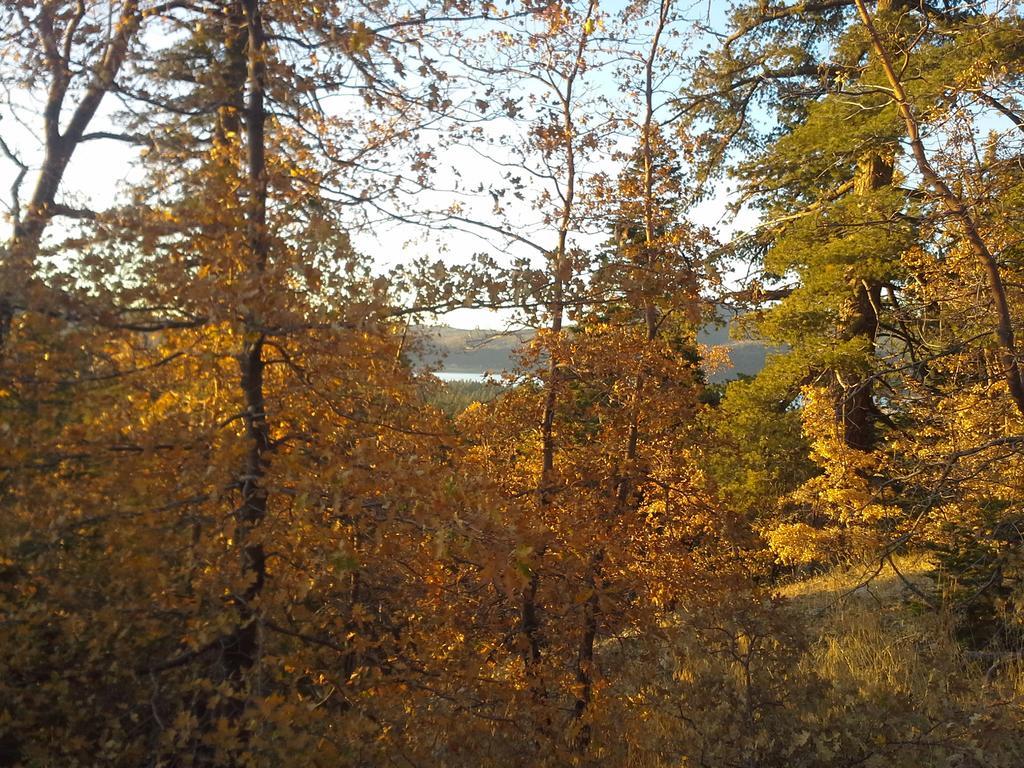Hillcrest Suites & Cabins Big Bear Lake Esterno foto